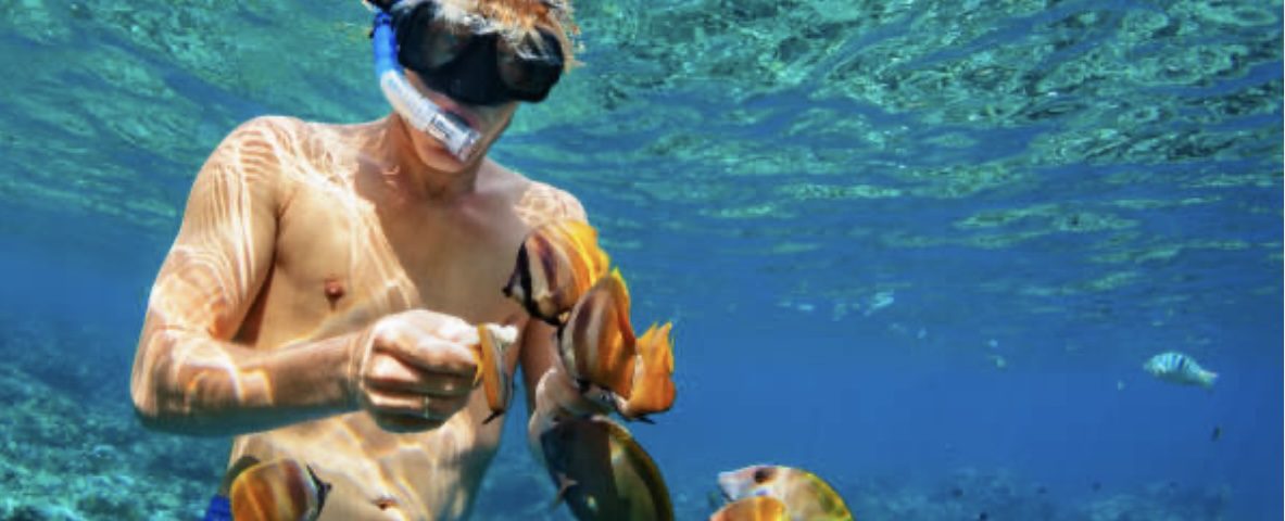 Snorkel Roatán