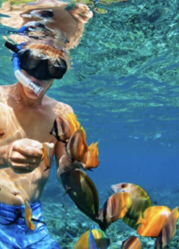 Snorkel Roatán