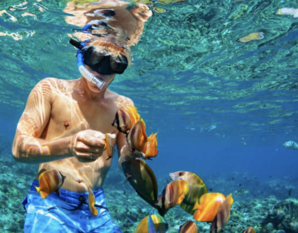 Snorkel Roatán