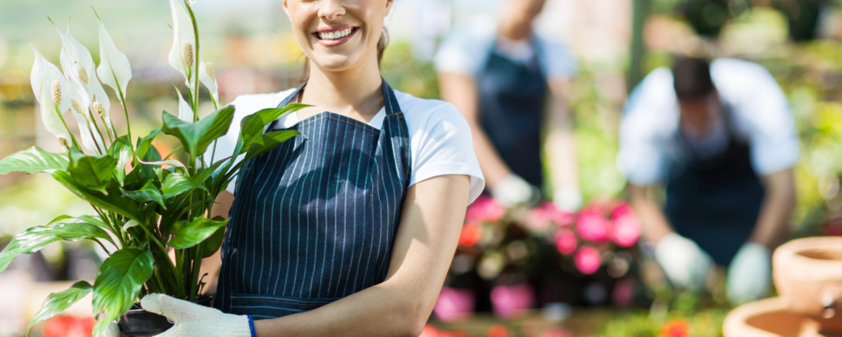 Floristería en Tegucigalpa